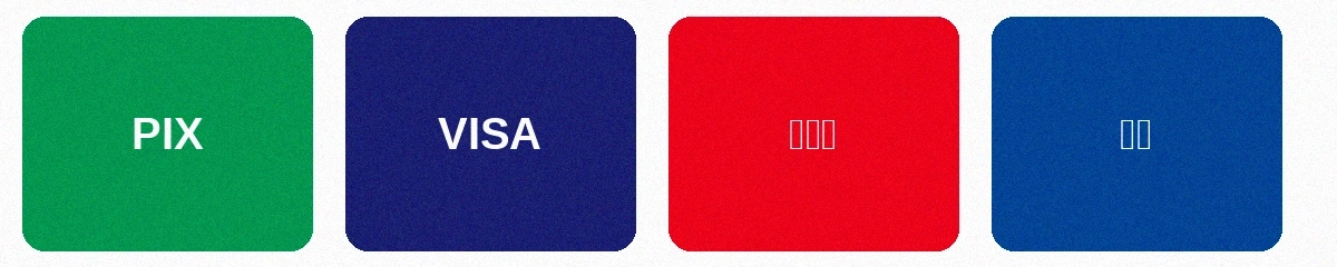 支持的支付方式包括PIX即时支付、VISA信用卡、万事达信用卡和银联借记卡